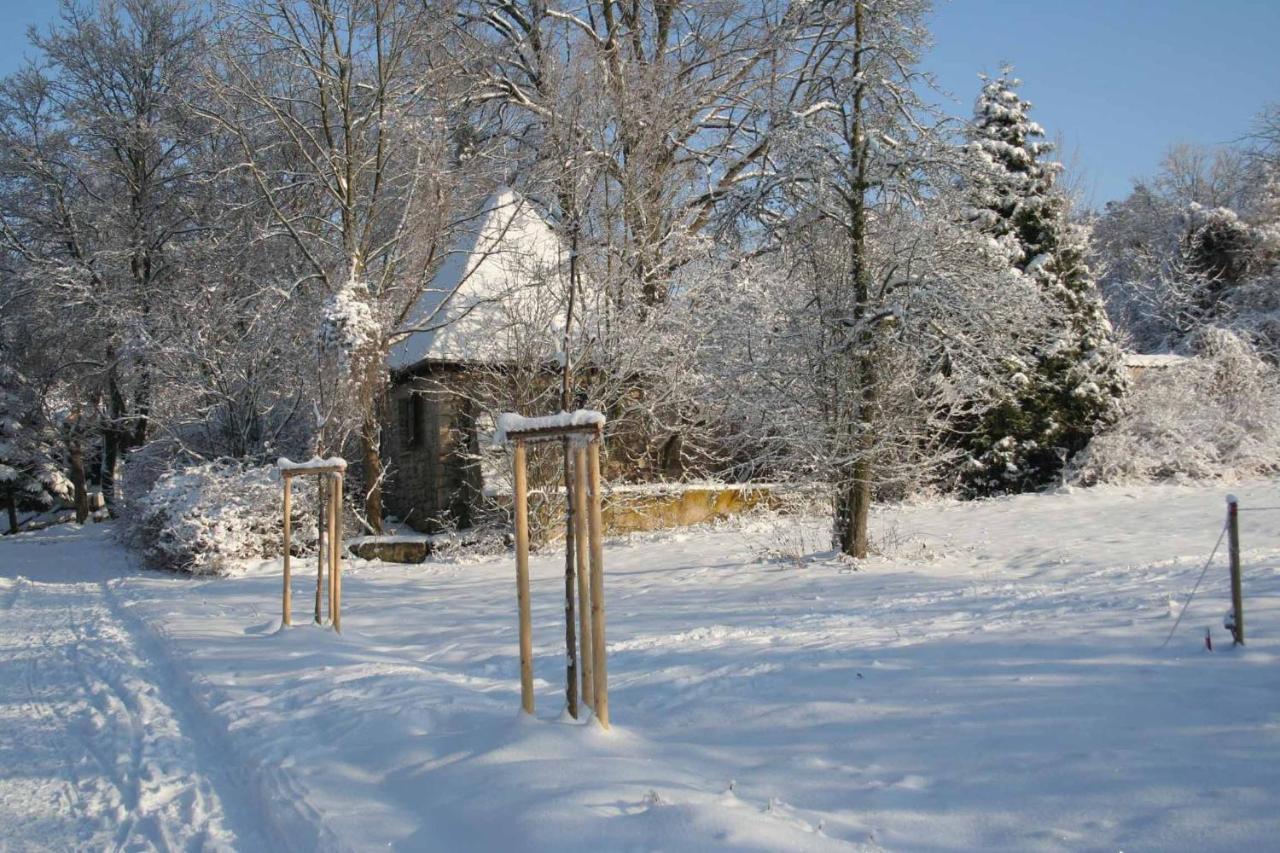 Hotel Und Restaurant Rittergut Kreipitzsch 나움부르크 외부 사진