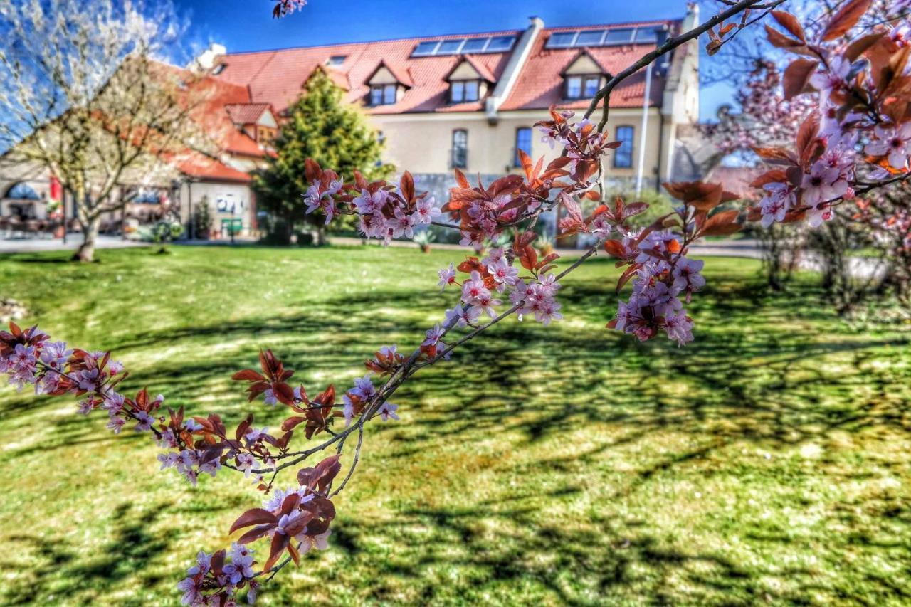 Hotel Und Restaurant Rittergut Kreipitzsch 나움부르크 외부 사진